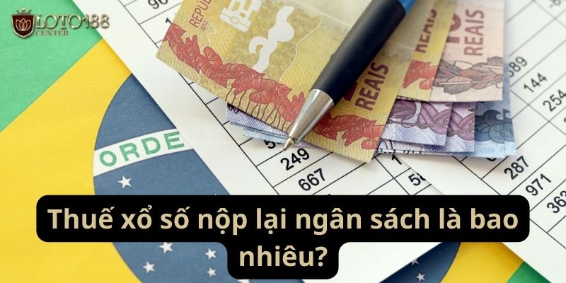 Mức phần trăm người chơi nộp lại cho ngân sách bao nhiêu?